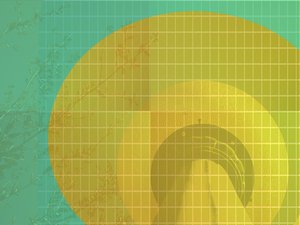 科技使用技巧：如何用智能灯设置日落模式